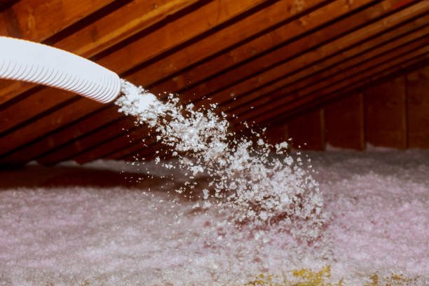 Best Cellulose Insulation in Windcrest, TX