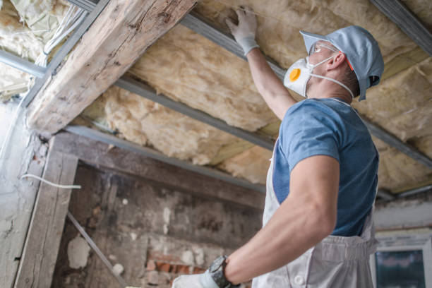 Best DIY Insulation Kits and Guidance in Windcrest, TX