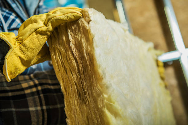 Types of Insulation We Offer in Windcrest, TX